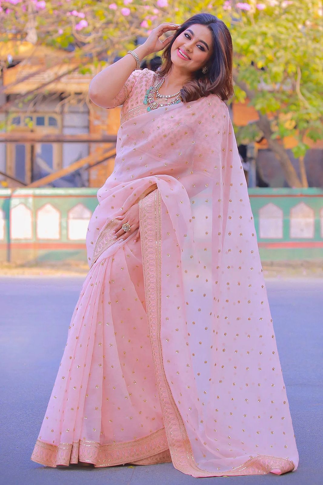 Beautiful Organza Butti Work Saree