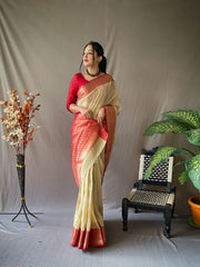 Beautiful Rich Pallu Work  Saree