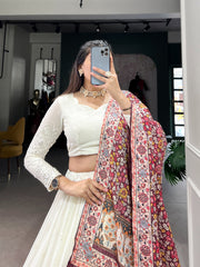 Adorable Lucknowi Paper Mirror Work Lehenga Choli