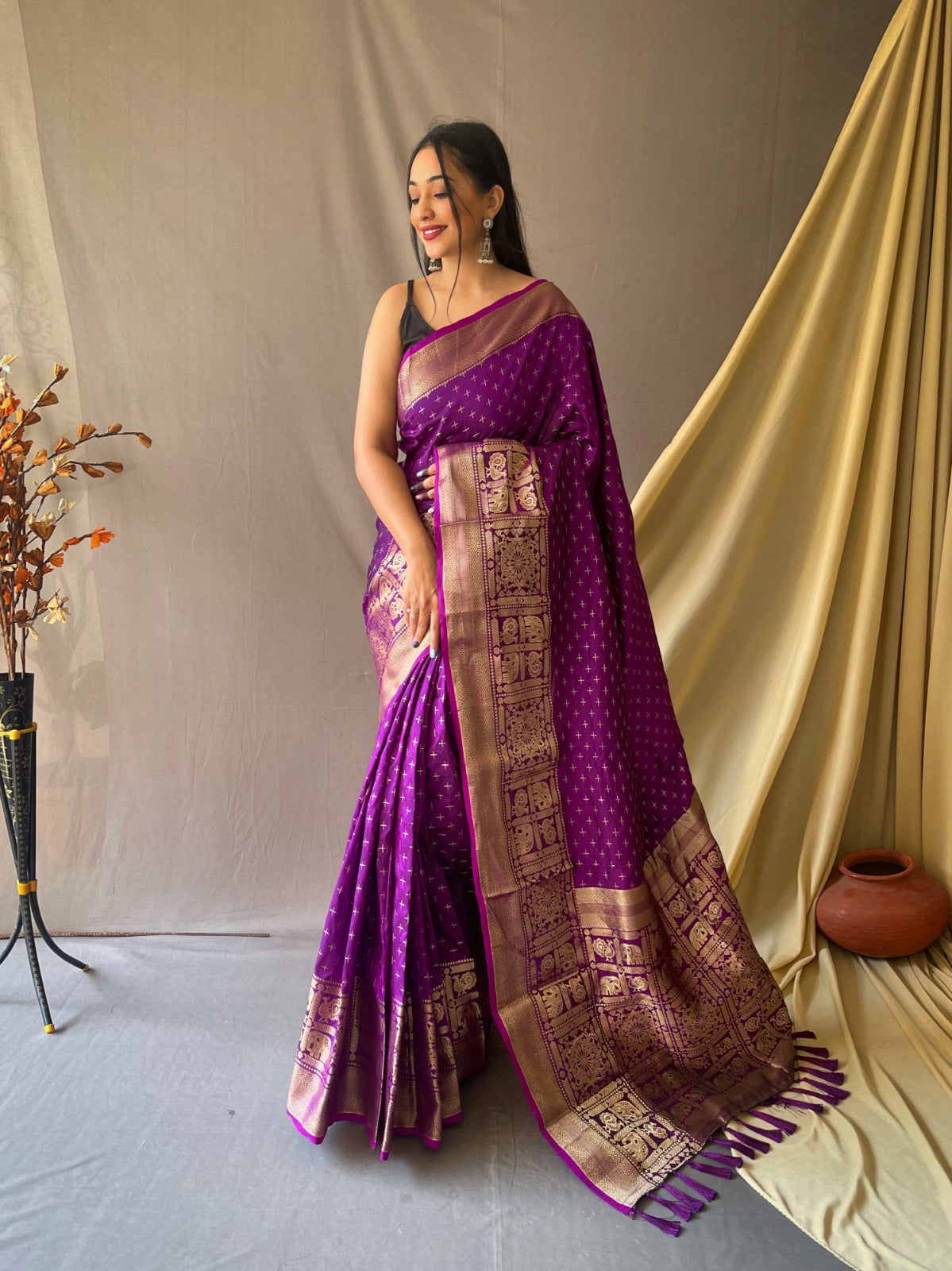 Beautiful Kanjivarm Silk Saree