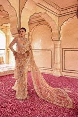 Bollywood Blockbuster Sequence & Embroidery Work Designer Saree