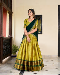 Festival Special Paithani Artistry Cotton Silk Elegant Lehenga Choli