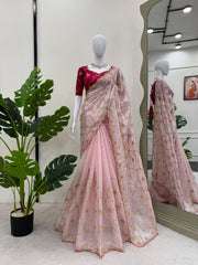 Jimmy Choo Party-wear Thread With Sequence work Designer Saree